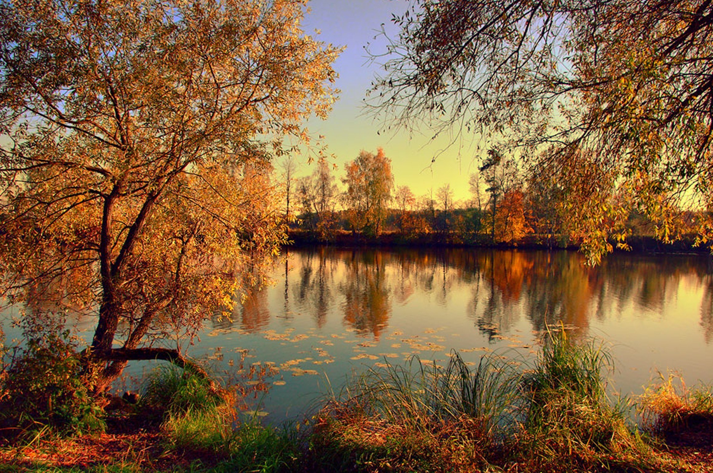Autumn lake at sunset