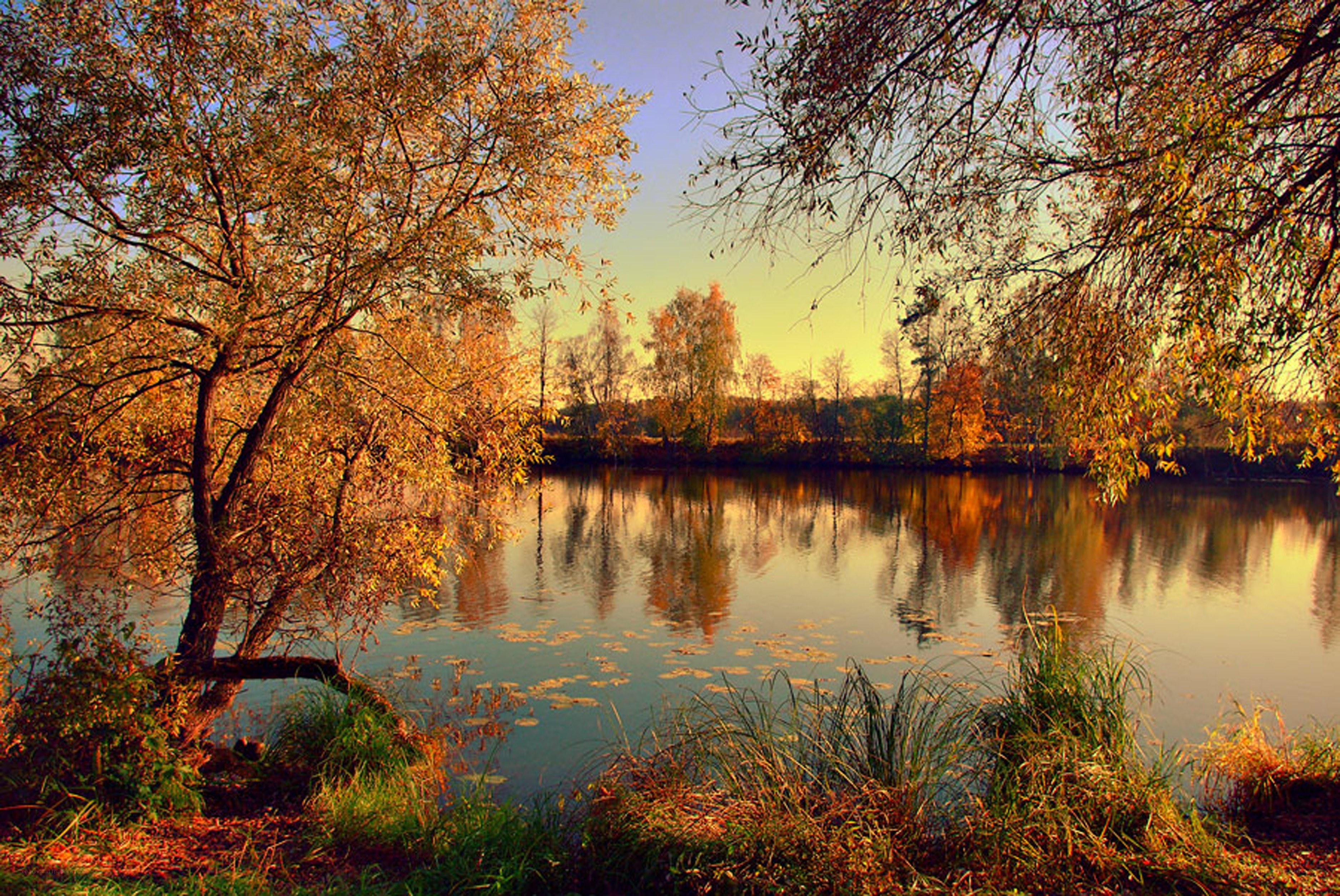 Autumn lake at sunset