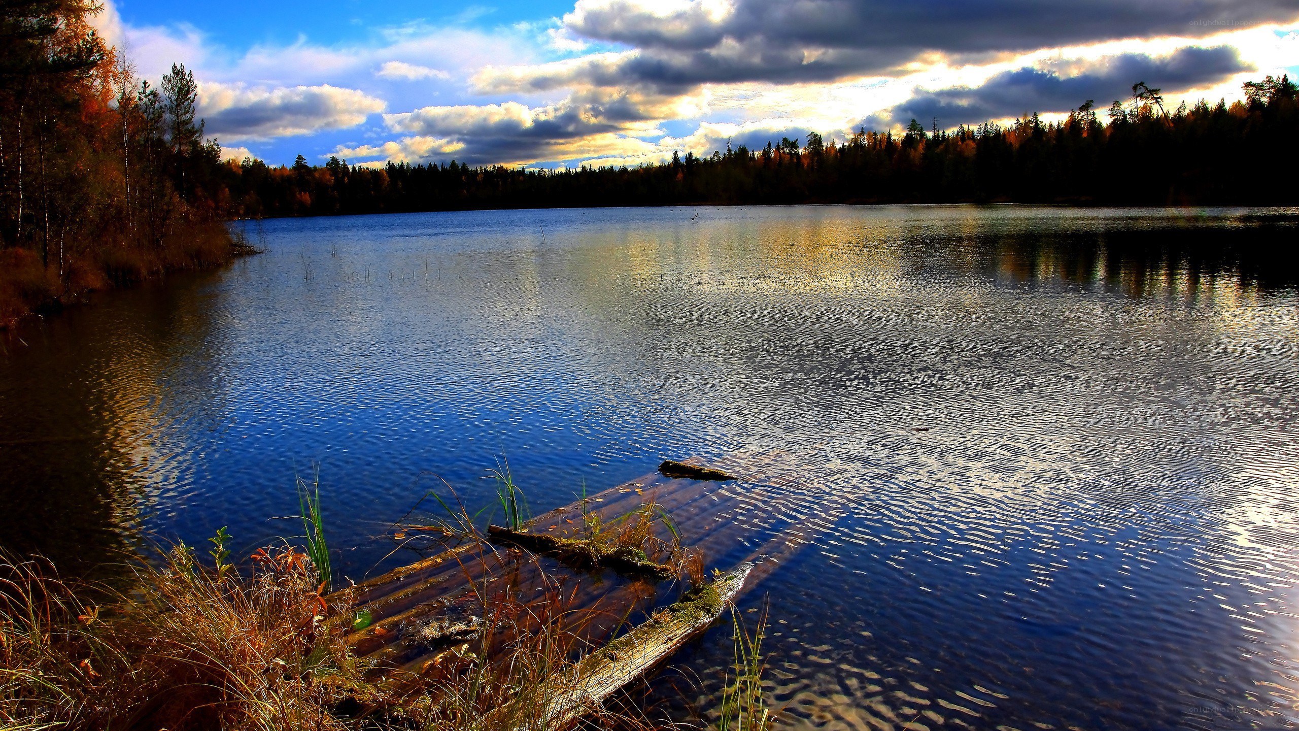 Autumn lake at sunset