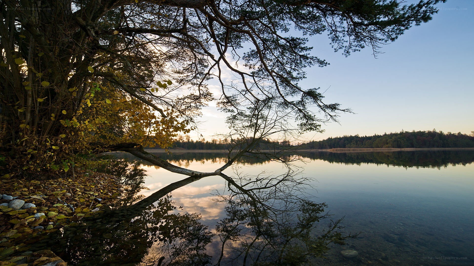 Autumn lake at sunset