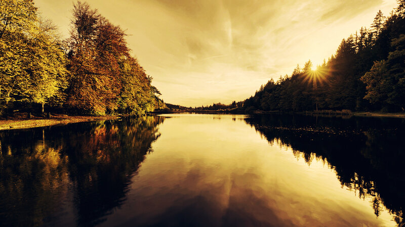 Autumn Lake at Sunset — Gold