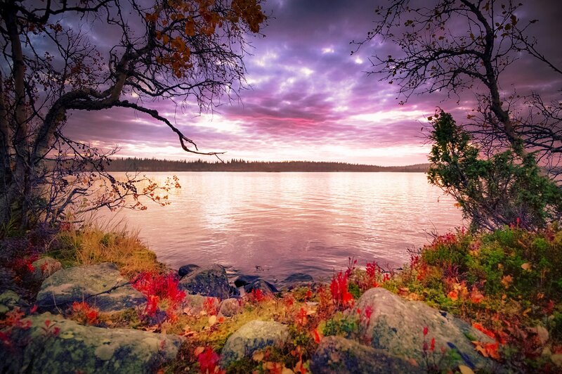 Autumn Lake at Sunset — Purple