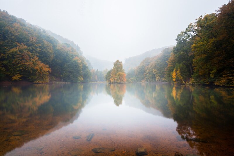 Autumn Lake in Forest — Green, Serene
