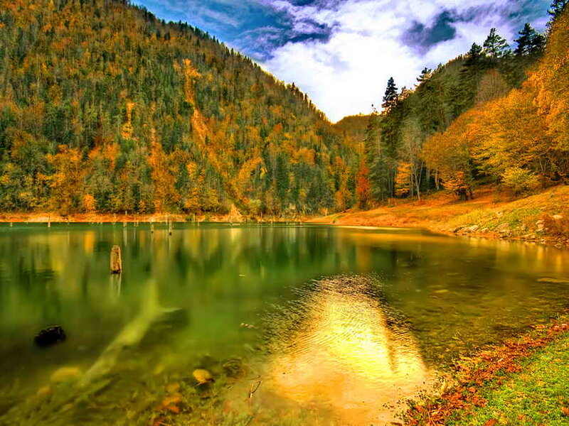 Autumn Lake in Forest — Green