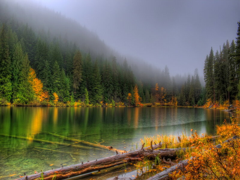 Autumn Lake in Forest