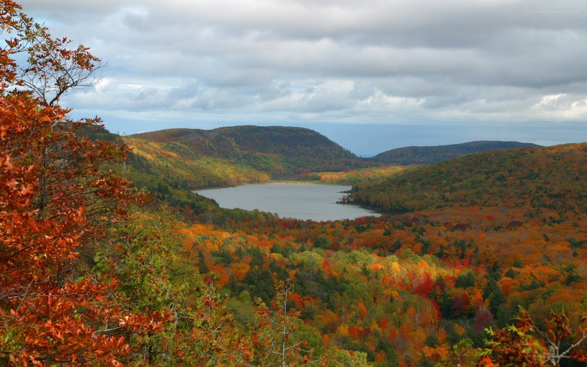Autumn lake in forest valley