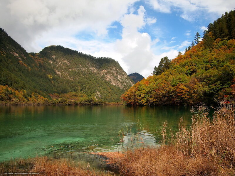 Autumn Lake in Mountains — Green, Serene, Photograph