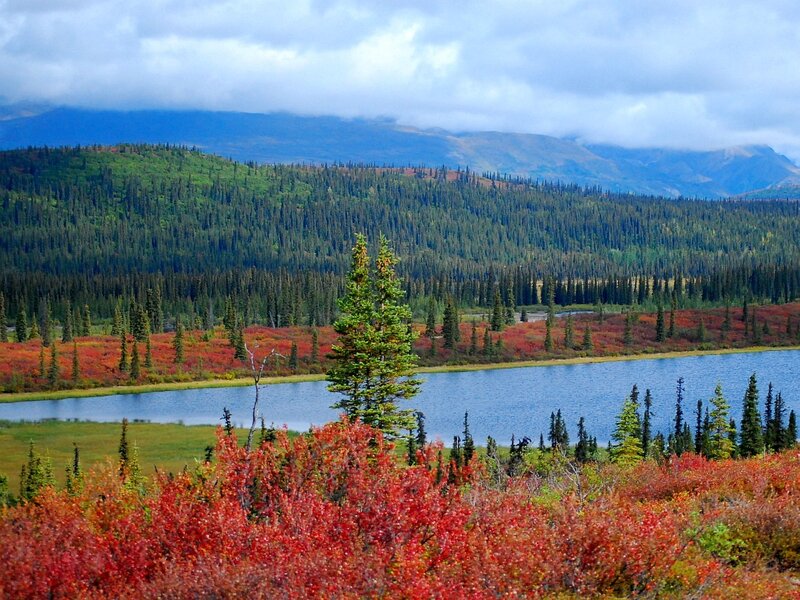 Autumn lake in the Alaskan wilderness