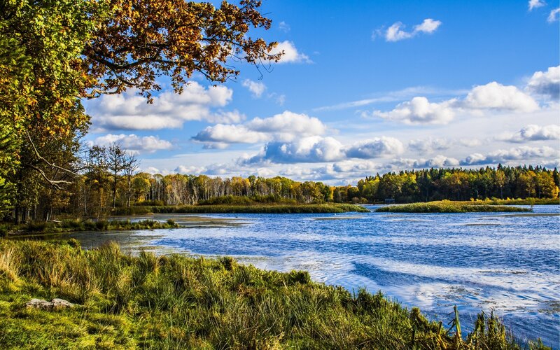 Autumn lake landscape