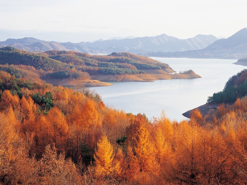 Autumn lake landscape