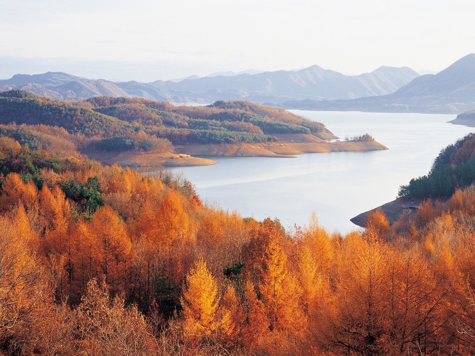 Autumn lake landscape