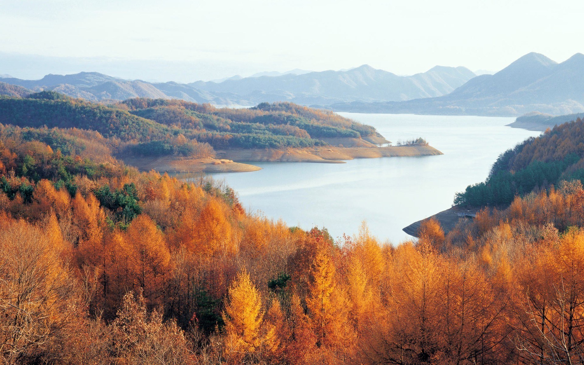 Autumn lake landscape