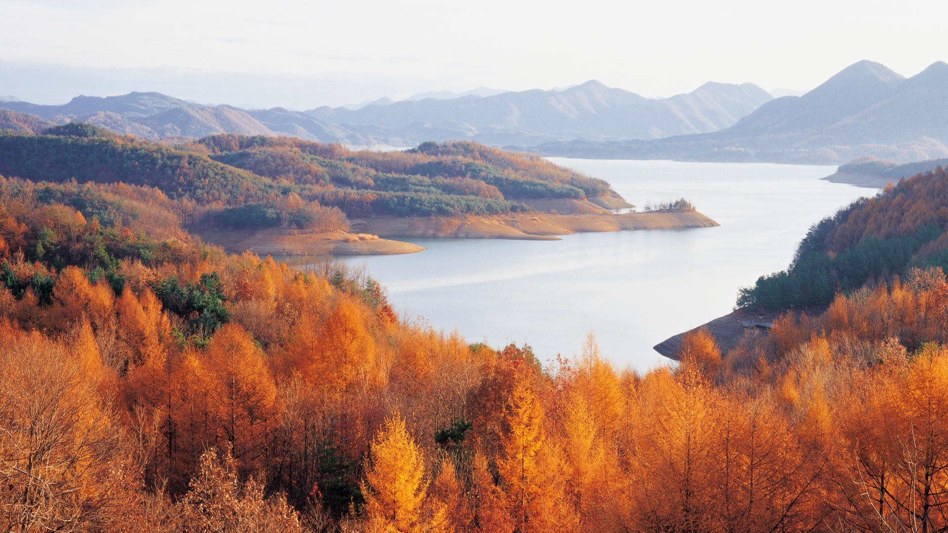 Autumn lake landscape