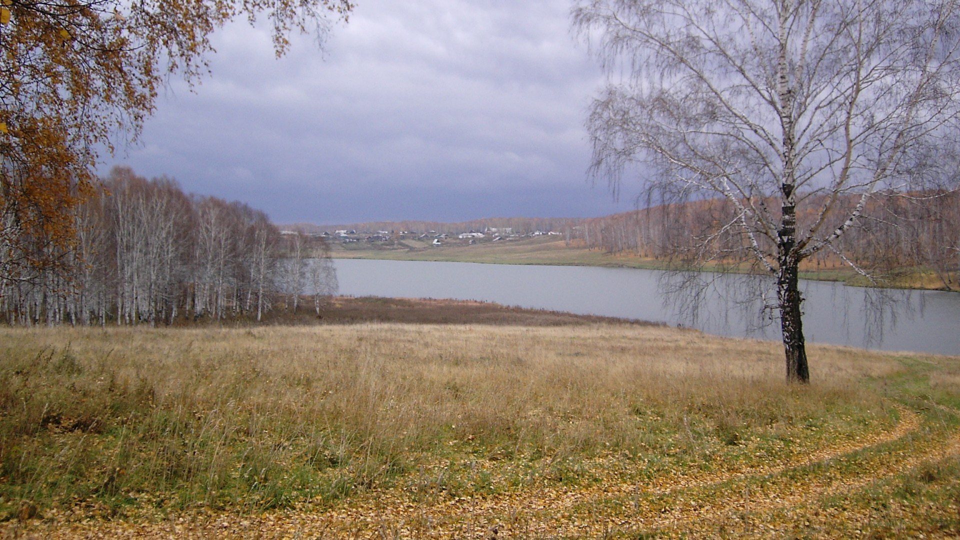 Autumn lake landscape