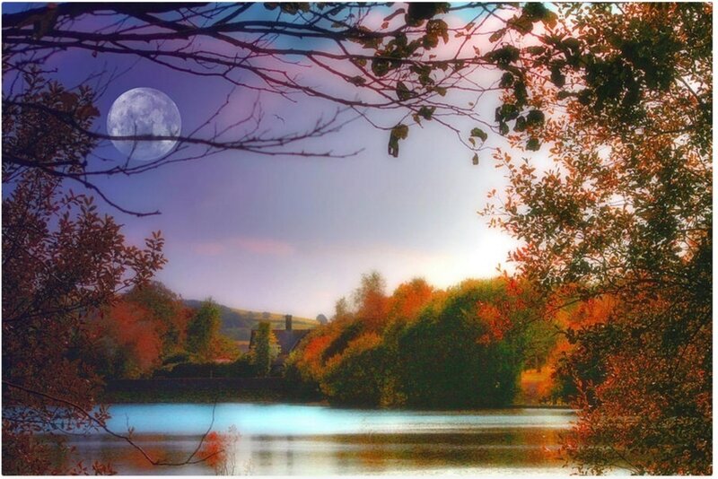 Autumn Lake Landscape — Blue, Serene, Night