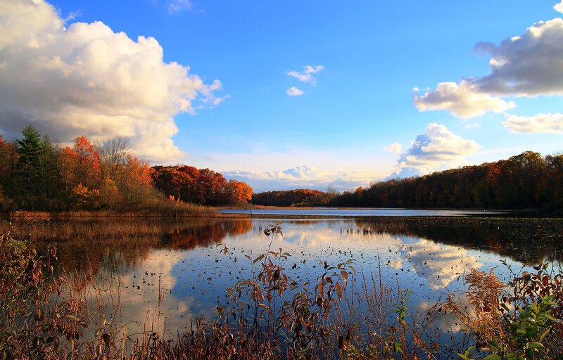 Autumn Lake Landscape — Blue, Serene, Photograph, Trees, Clouds
