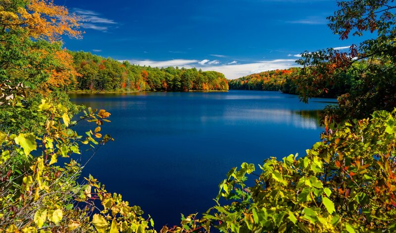 Autumn Lake Landscape — Blue, Serene, Photograph, Trees, Sky, Foliage