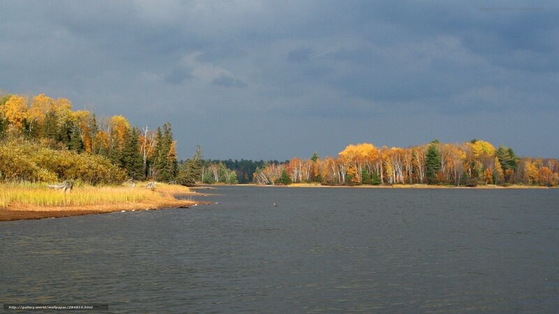 Autumn Lake Landscape — Gray
