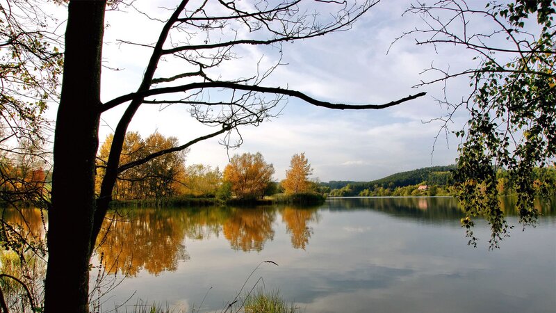 Autumn Lake Landscape — Green, Serene, Photograph, Trees, Reflection