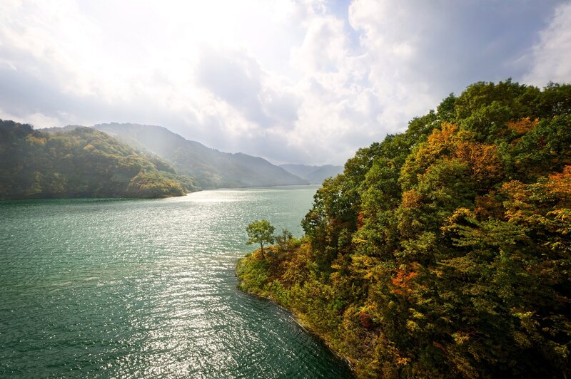 Autumn Lake Landscape — Green, Serene