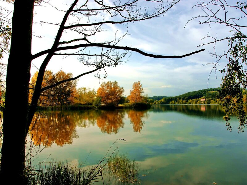 Autumn Lake Landscape — Green