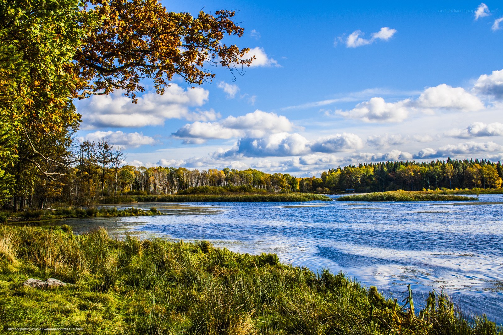Autumn lake landscape