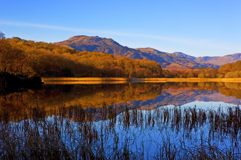 Autumn Lake Reflection — Blue, Serene, Photograph, Mountains, Trees, Reeds, Orange, Brown