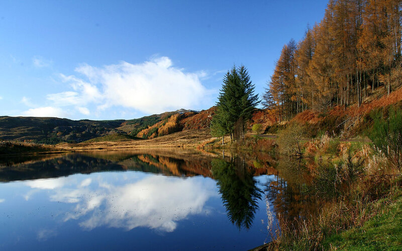Autumn Lake Reflection — Blue, Serene, Photograph, Trees