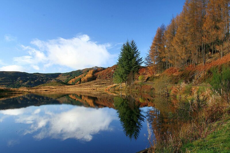Autumn Lake Reflection — Blue