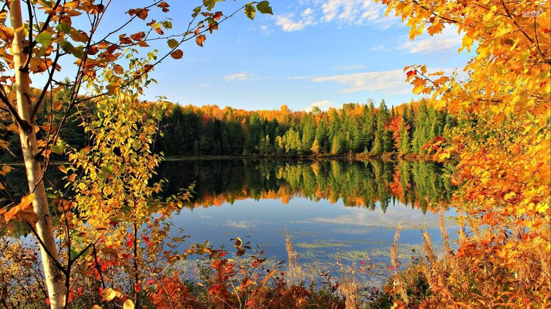 Autumn Lake Reflection — Yellow, Serene