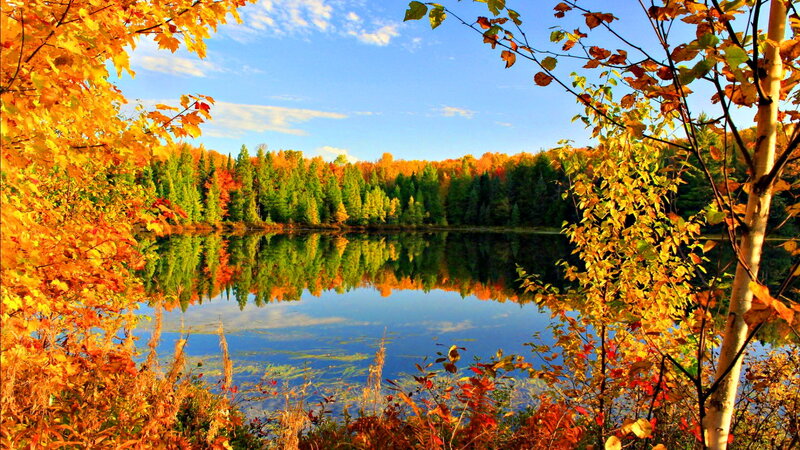 Autumn Lake Reflection — Yellow