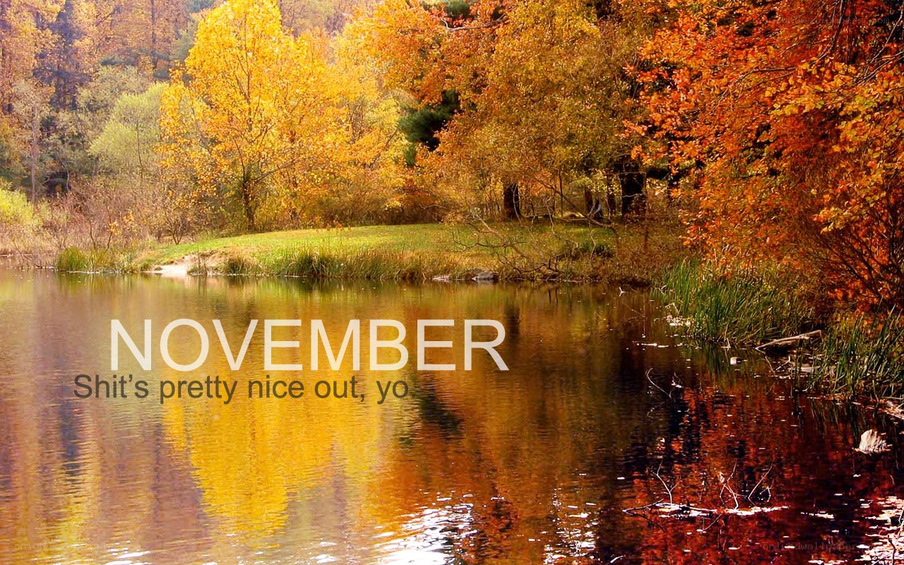 Autumn lake scene