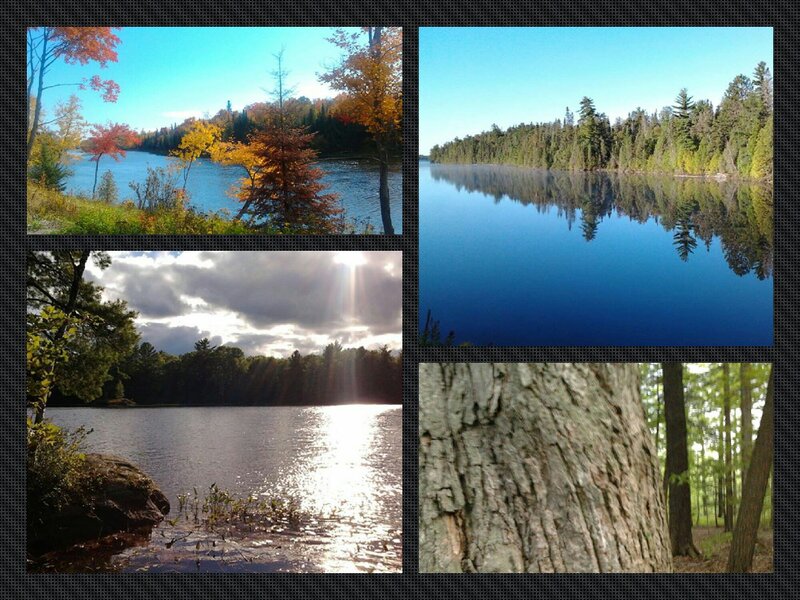 Autumn Lake Scenery