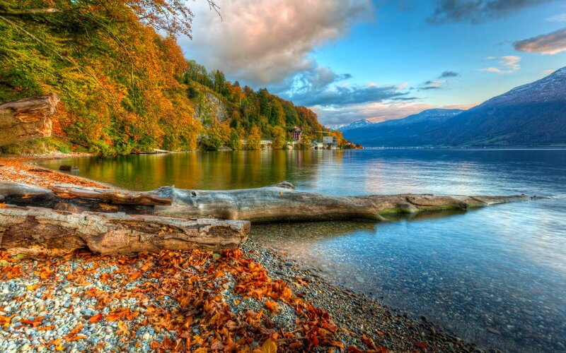 Autumn Lake Shore