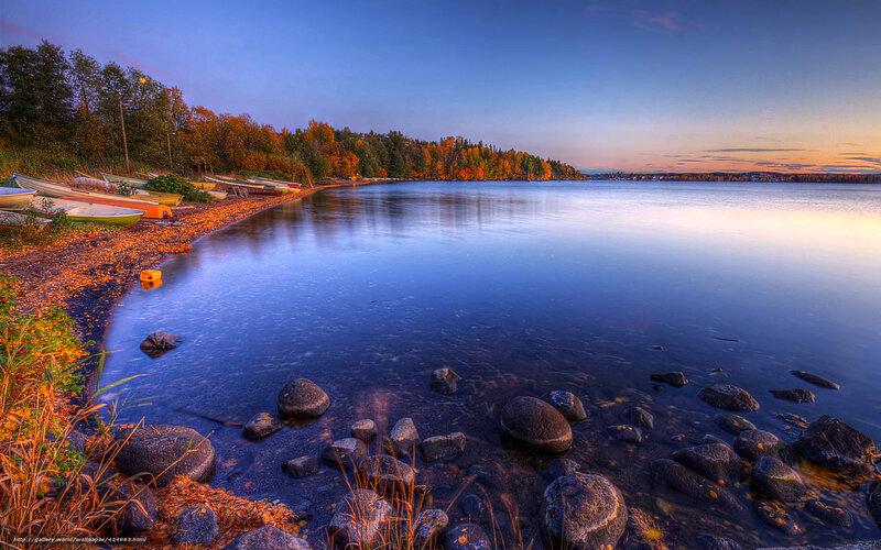 Autumn Lake Shoreline — Blue, Serene