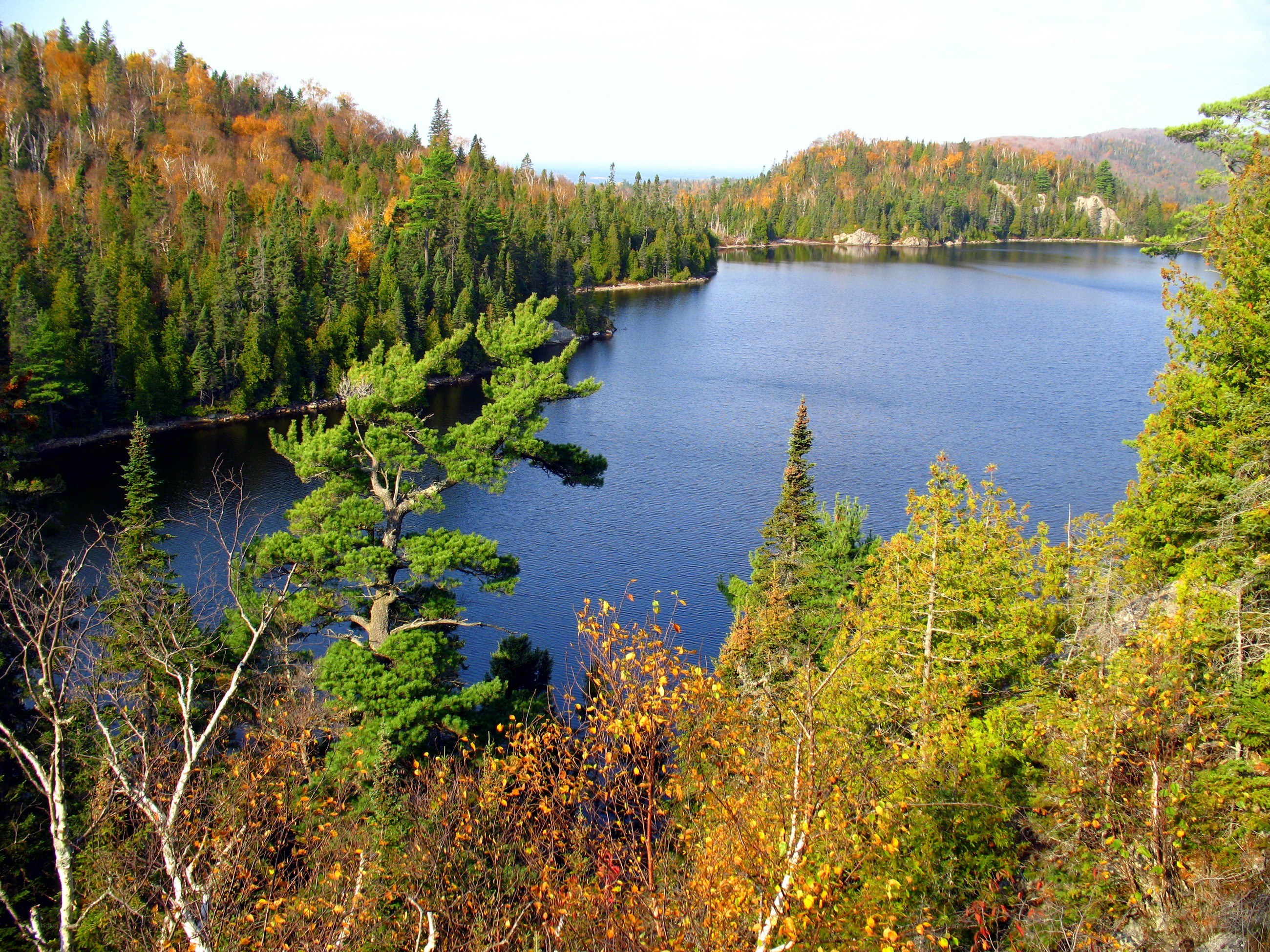 Autumn lake surrounded by forest