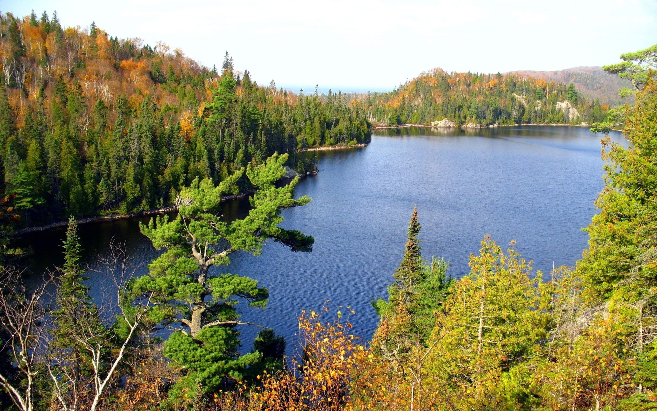 Autumn lake surrounded by forest