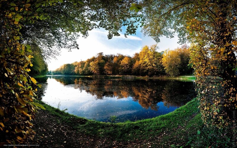 Autumn lake through tree frame