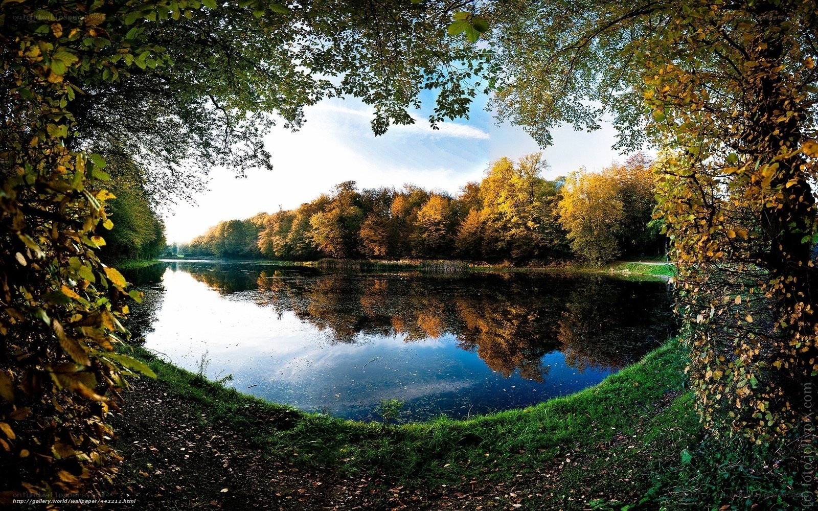 Autumn lake through tree frame