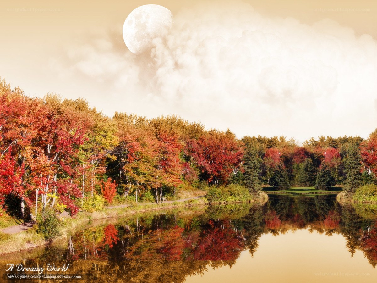 Autumn lake under full moon