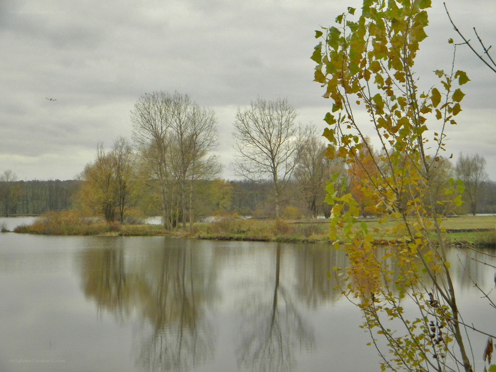 Autumn lake with bare trees