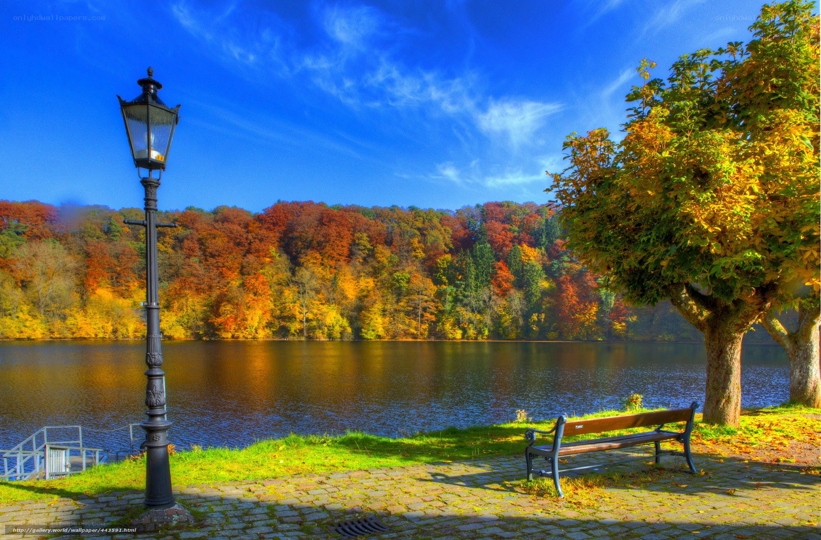 Autumn lake with bench