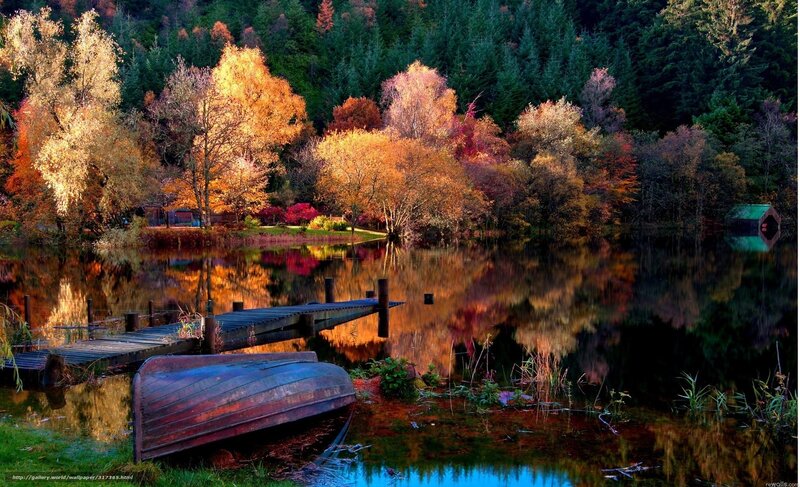 Autumn lake with boat