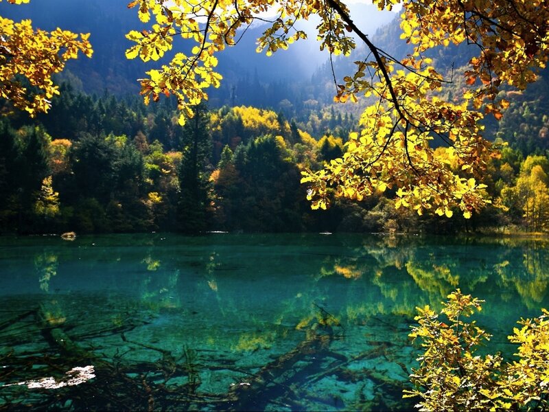 Autumn lake with clear water