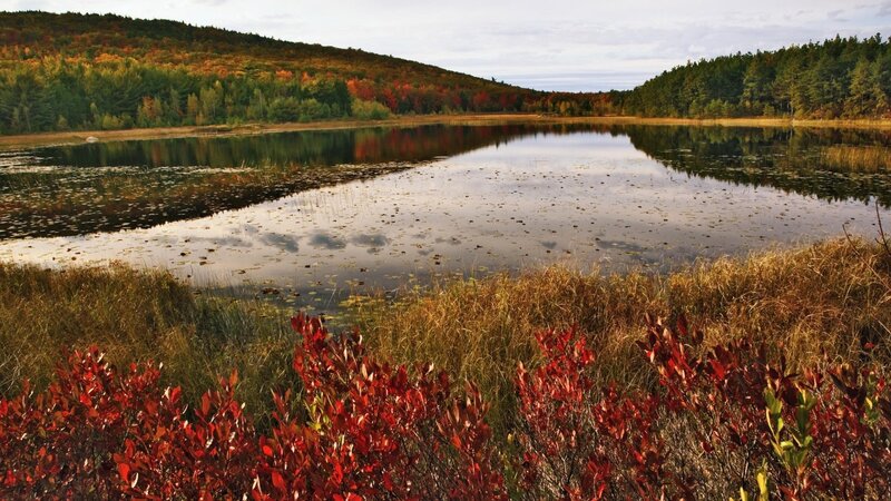 Autumn lake with colorful foliage