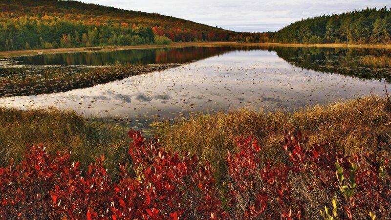 Autumn lake with colorful foliage