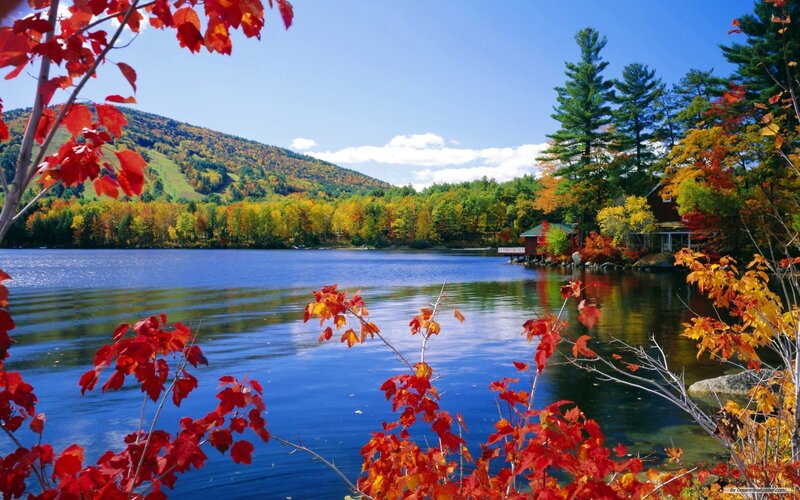 Autumn lake with colorful foliage