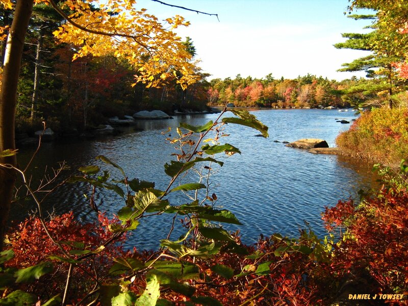 Autumn lake with colorful foliage