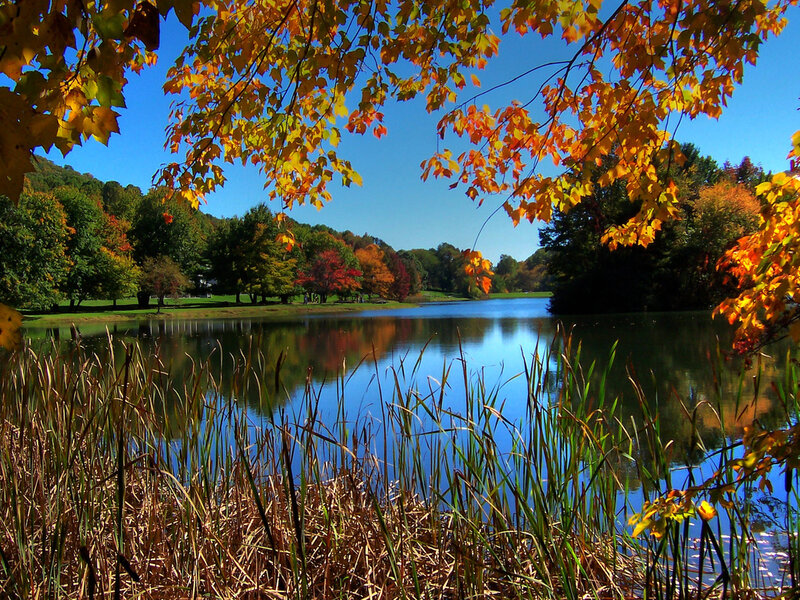 Autumn lake with colorful foliage