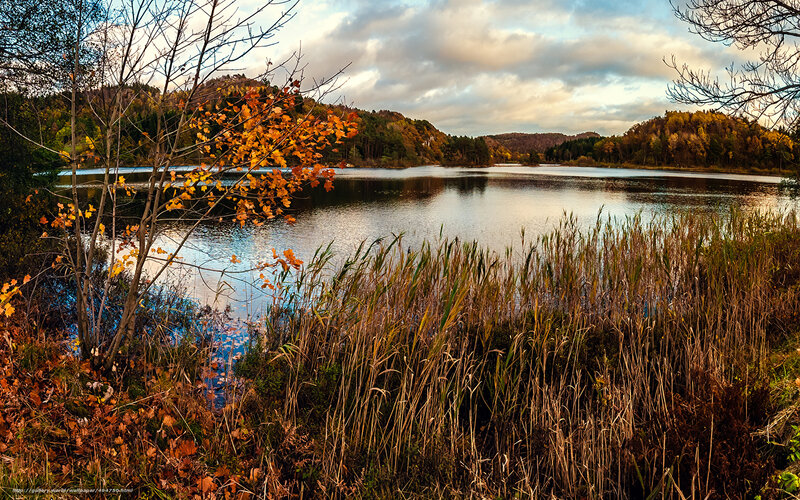 Autumn lake with colorful foliage